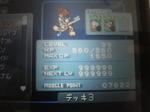 khcom-1.jpeg